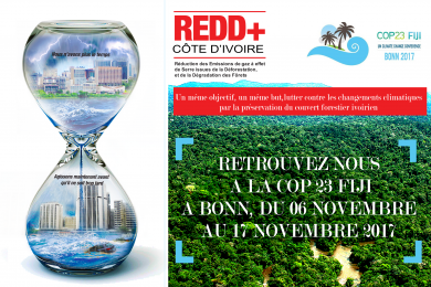 CAMPAGNE 1