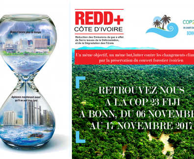 CAMPAGNE 1
