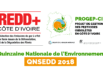 LOGO PARTICIPATION QNSEDD 2018