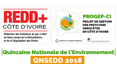 LOGO PARTICIPATION QNSEDD 2018