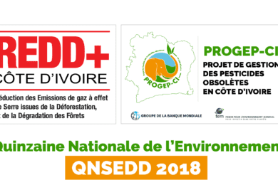 LOGO PARTICIPATION QNSEDD 2018