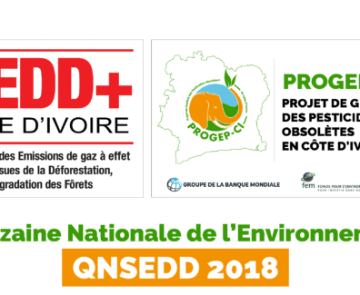 LOGO PARTICIPATION QNSEDD 2018