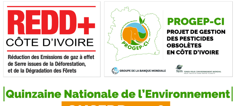 LOGO PARTICIPATION QNSEDD 2018