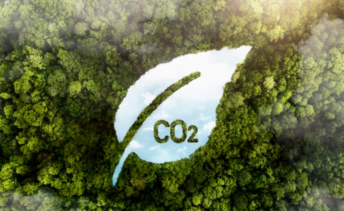 LA BANQUE MONDIALE CONFIRME LA RÉDUCTION SIGNIFICATIVE DES ÉMISSIONS DE CO2 DE LA CÔTE D&rsquo;IVOIRE DANS LE CADRE DU PROJET PRE