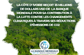 AFFICHE CARTE CI