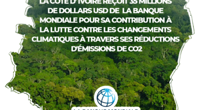 AFFICHE CARTE CI