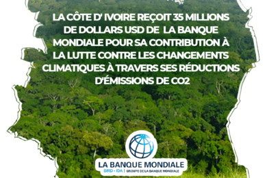 AFFICHE CARTE CI