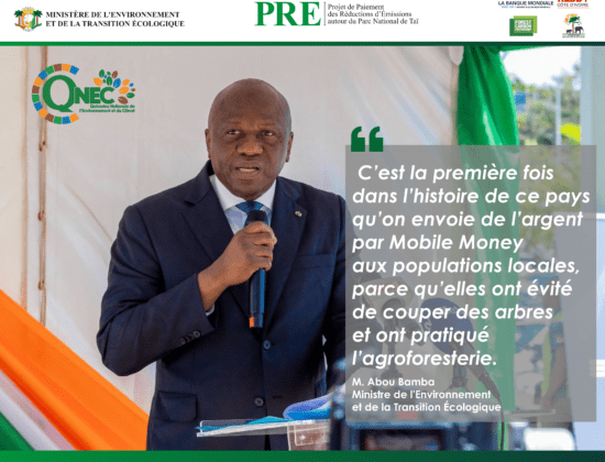 Sans titre – 1